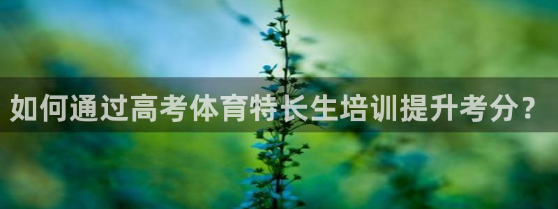 欧陆娱乐挂机怎么玩的：如何通过高考体育特长生培训提升