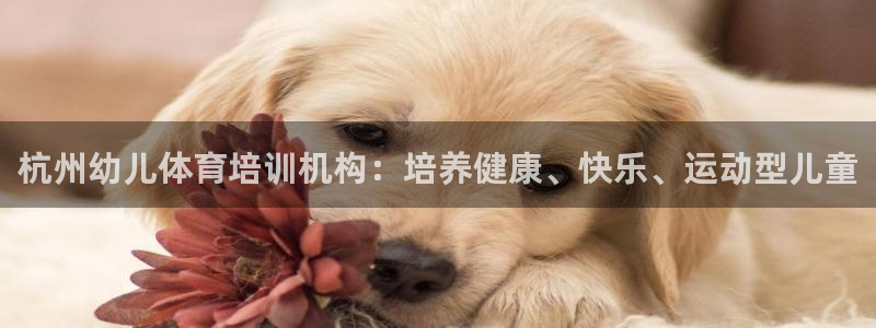 欧陆娱乐官网入口网址：杭州幼儿体育培训机构：培养健康