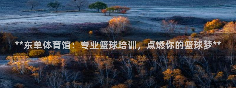 欧陆娱乐挂机项目：**东单体育馆：专业篮球培训，点燃