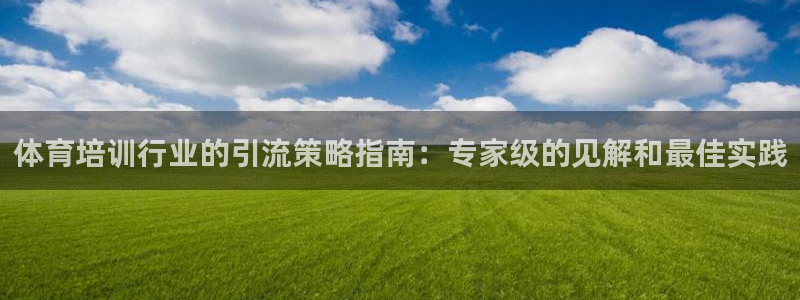 欧陆娱乐挂机项目怎么弄：体育培训行业的引流策略指南：