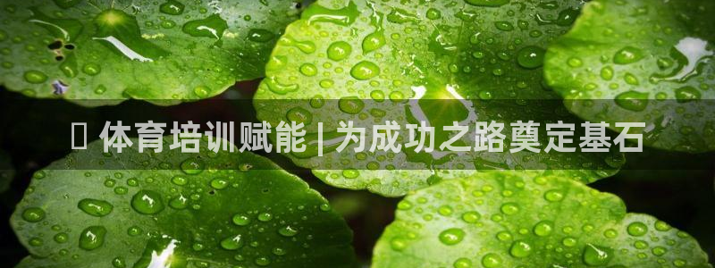 欧陆娱乐官网下载安装手机版：✅ 体育培训赋能 | 为