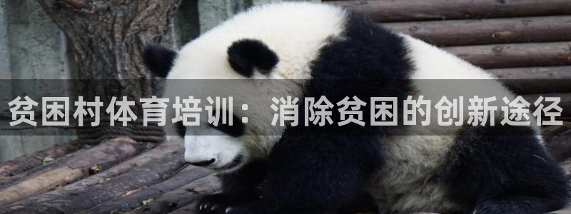 欧陆娱乐官方：贫困村体育培训：消除贫困的创新途径