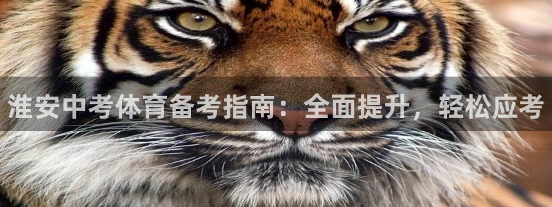 欧陆娱乐平台官网：淮安中考体育备考指南：全面提升，轻