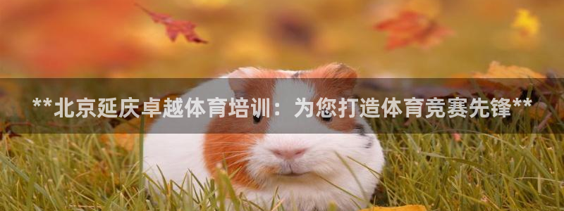 欧陆娱乐登录官网下载：**北京延庆卓越体育培训：为您