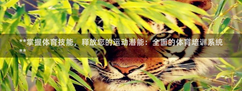 欧陆娱乐官网下载安装最新版：**掌握体育技能，释放您