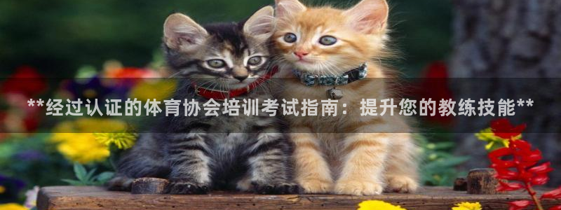 欧陆娱乐平台咋样赚钱：**经过认证的体育协会培训考试
