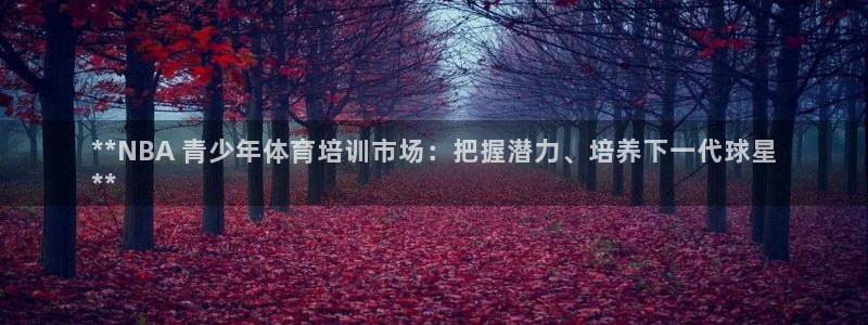 欧陆娱乐官网网址是多少：**NBA 青少年体育培训市