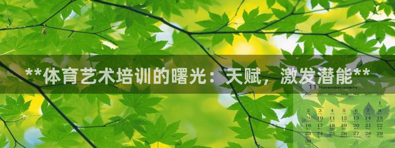 欧陆娱乐是正规平台吗安全吗可靠吗可信吗：**体育艺术
