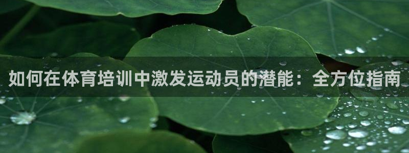 欧陆娱乐挂机项目怎么设置：如何在体育培训中激发运动员