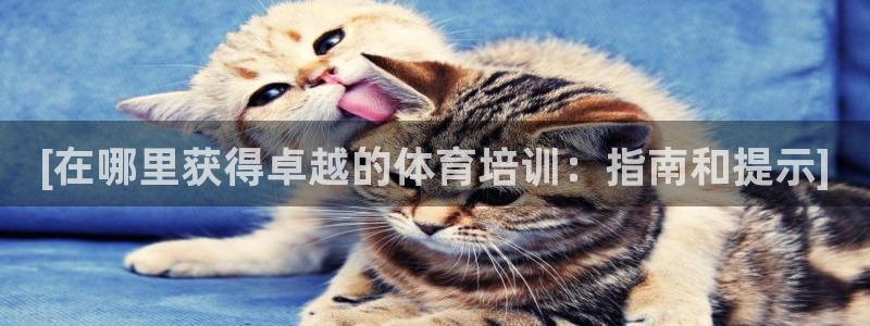 欧陆娱乐挂机项目有哪些：[在哪里获得卓越的体育培训：