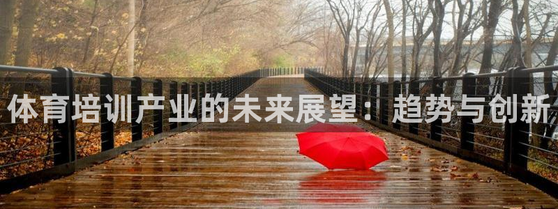 欧陆娱乐官方：体育培训产业的未来展望：趋势与创新