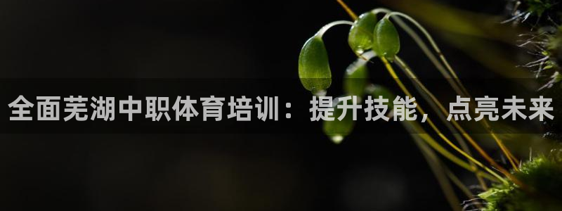 欧陆娱乐挂机怎么玩：全面芜湖中职体育培训：提升技能，