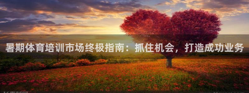 欧陆娱乐提现两百万：暑期体育培训市场终极指南：抓住机