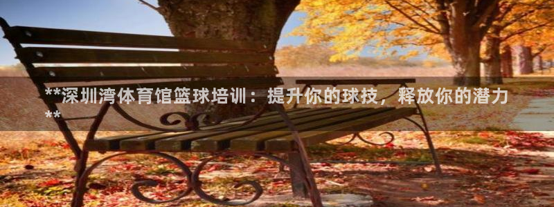 欧陆娱乐平台登陆地址：**深圳湾体育馆篮球培训：提升