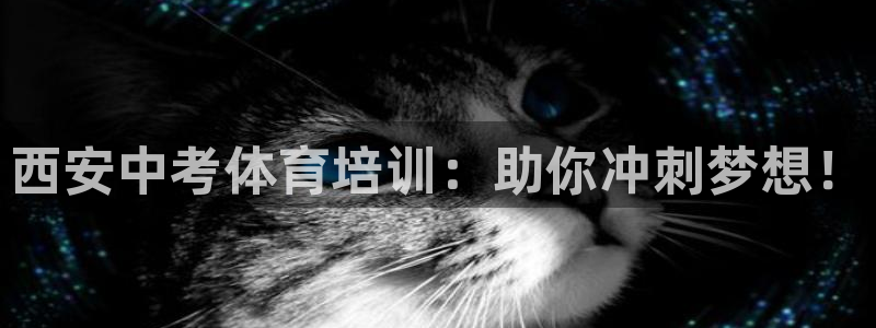 欧陆娱乐客服服务怎么样：西安中考体育培训：助你冲刺梦