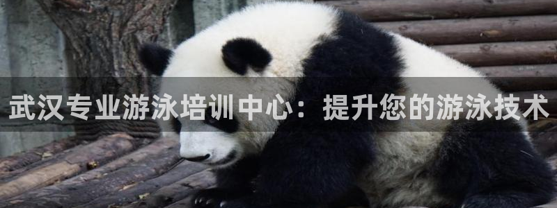 欧陆娱乐能提现嘛现在：武汉专业游泳培训中心：提升您的