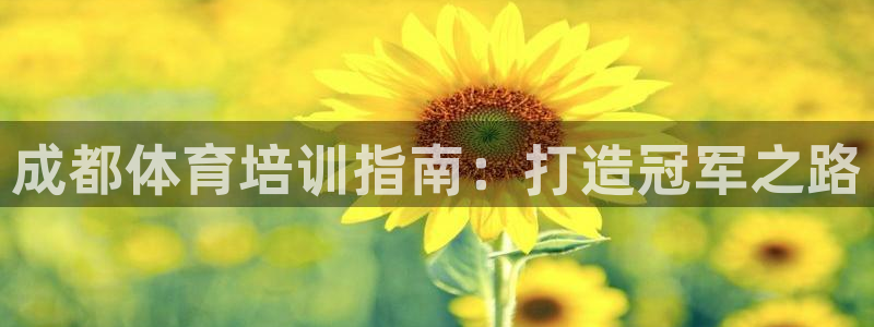 欧陆游戏平台：成都体育培训指南：打造冠军之路