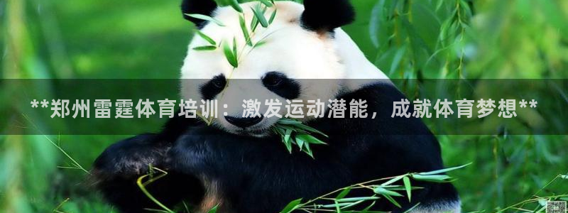 欧陆娱乐总代理是谁：**郑州雷霆体育培训：激发运动潜