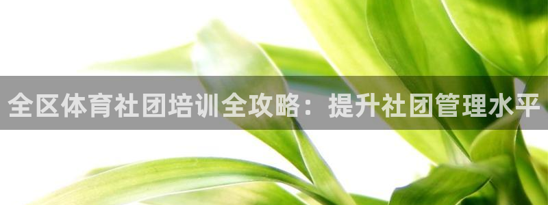 欧陆娱乐平台毕 (q—43314) 旨：全区体育社团
