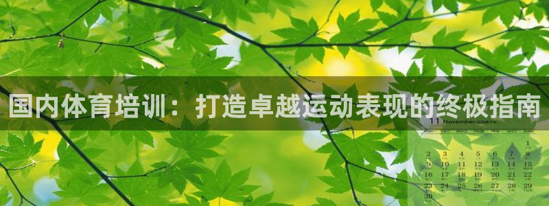 欧陆娱乐是正规平台吗安全吗知乎文章：国内体育培训：打