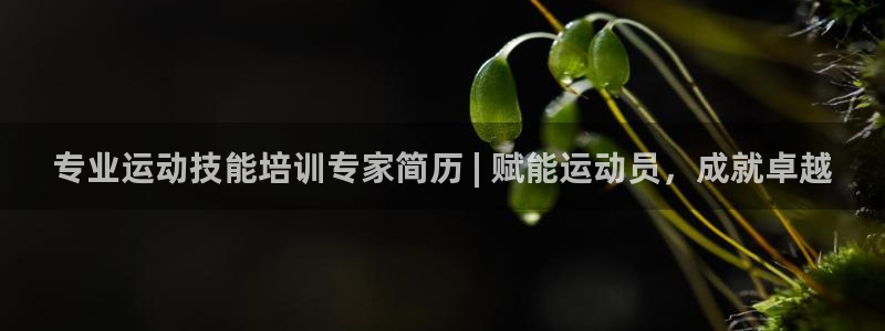 欧陆娱乐能赚钱吗：专业运动技能培训专家简历 | 赋能