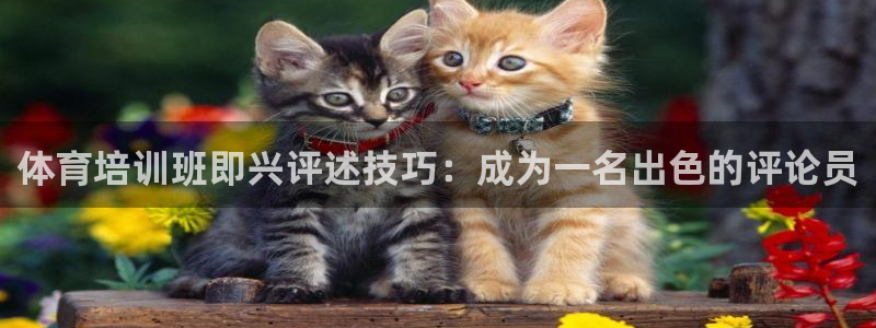欧陆娱乐打什么方案赚钱：体育培训班即兴评述技巧：成为