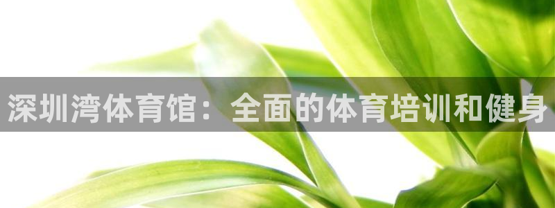 欧陆娱乐测速网站：深圳湾体育馆：全面的体育培训和健身