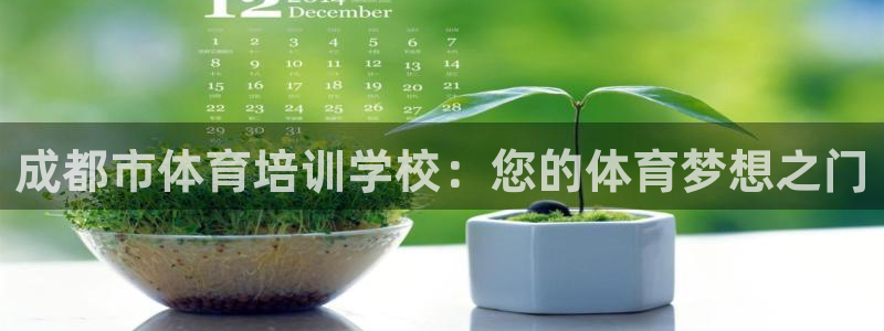 欧陆娱乐是正规吗?：成都市体育培训学校：您的体育梦想