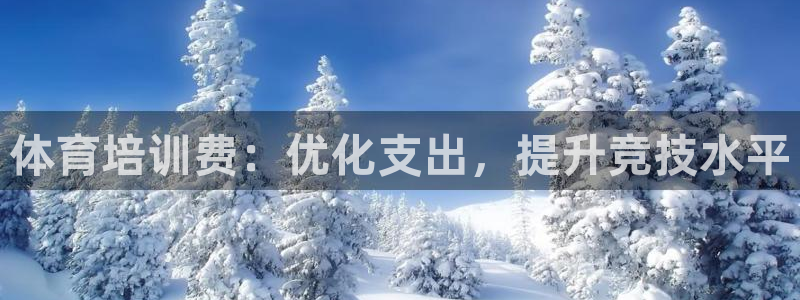 欧陆娱乐会员有什么用：体育培训费：优化支出，提升竞技
