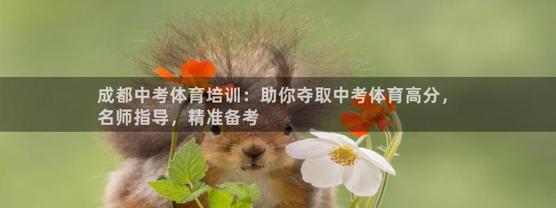 欧陆娱乐有限公司怎么样：成都中考体育培训：助你夺取中