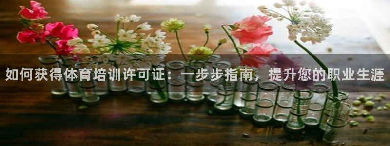 欧陆娱乐出款了吗：如何获得体育培训许可证：一步步指南