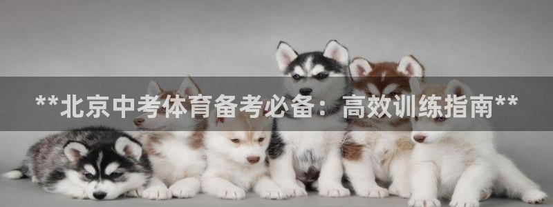 欧陆娱乐官方下载安装：**北京中考体育备考必备：高效