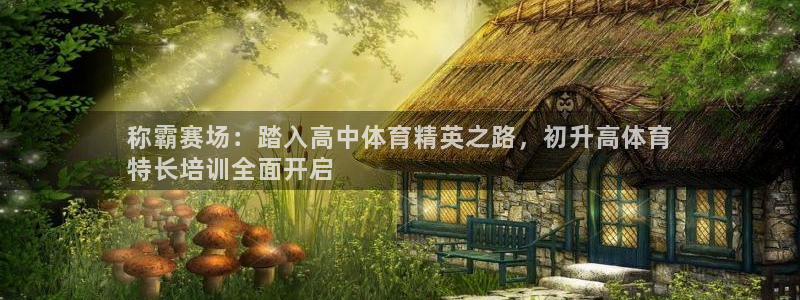 欧陆娱乐是干什么的：称霸赛场：踏入高中体育精英之路，