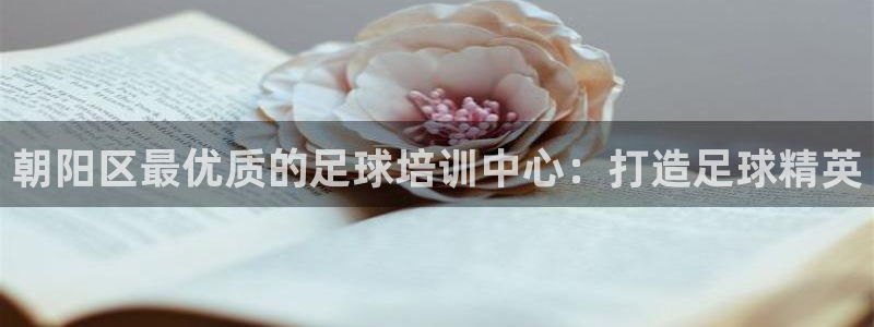 欧陆娱乐合法吗：朝阳区最优质的足球培训中心：打造足球