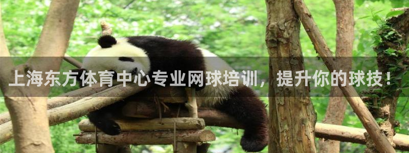 欧陆娱乐登录注册平台下载：上海东方体育中心专业网球培