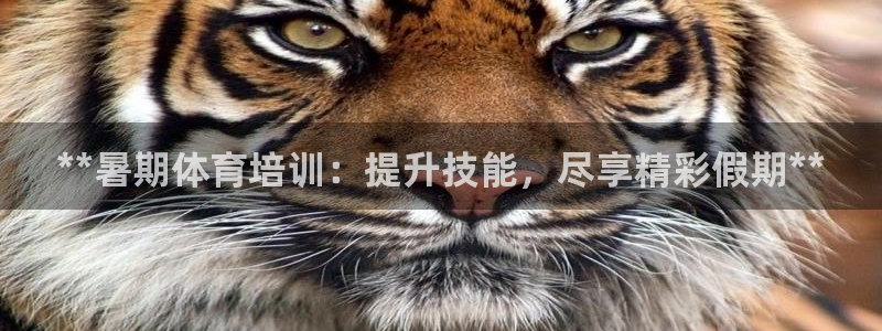 欧陆娱乐登录官网网址：**暑期体育培训：提升技能，尽