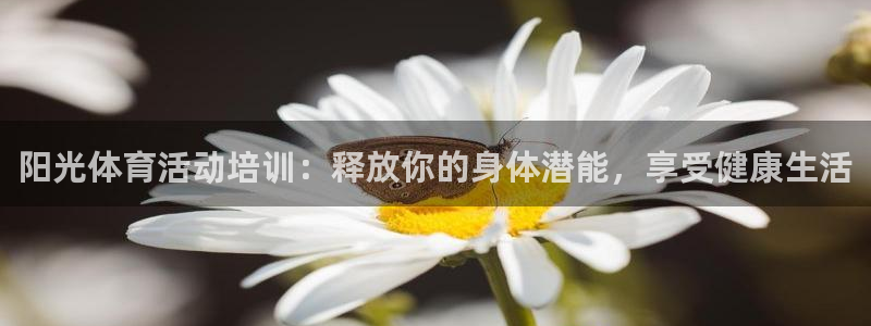 欧陆娱乐客服电话：阳光体育活动培训：释放你的身体潜能