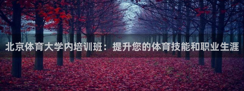欧陆娱乐公司产品介绍怎么写