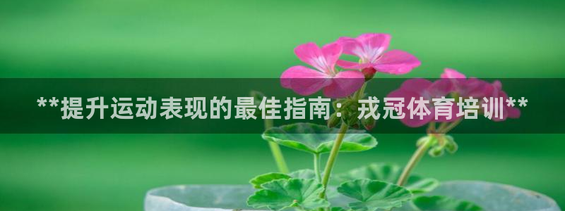 欧陆娱乐官网下载安装最新版本：**提升运动表现的最佳指南：戎