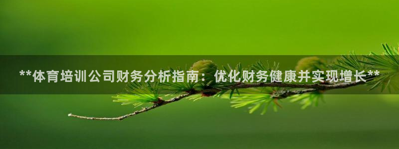 欧陆娱乐注册链接安全吗可靠吗：**体育培训公司财务分