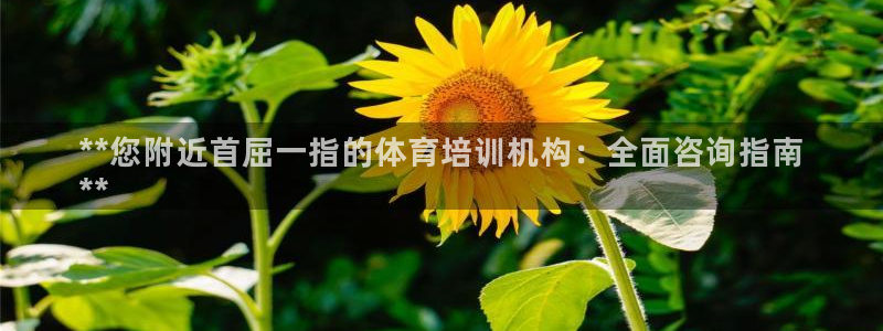 欧陆娱乐app下载安装：**您附近首屈一指的体育培训