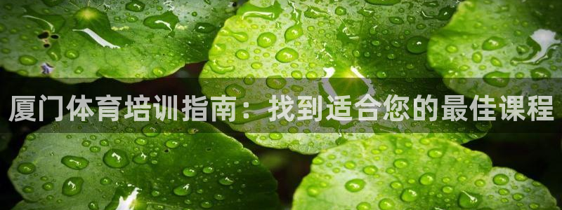欧陆娱乐的故事有哪些：厦门体育培训指南：找到适合您的