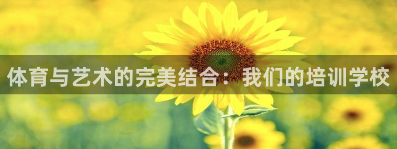 欧陆娱乐能提现嘛?：体育与艺术的完美结合：我们的培训