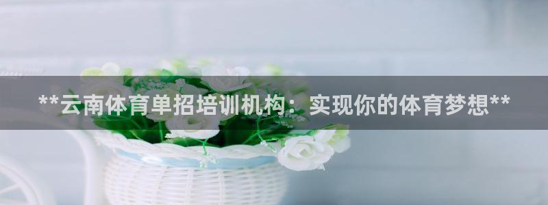 欧陆娱乐登陆平台下载：**云南体育单招培训机构：实现