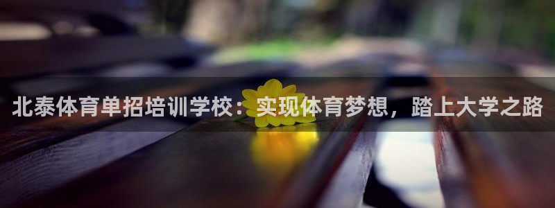 欧陆娱乐游戏：北泰体育单招培训学校：实现体育梦想，踏