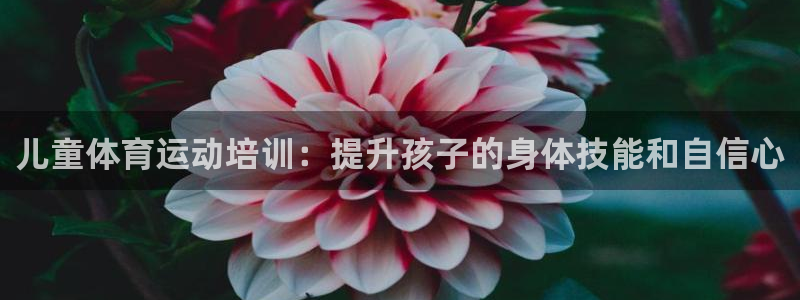 欧陆娱乐客服电话人工服务：儿童体育运动培训：提升孩子