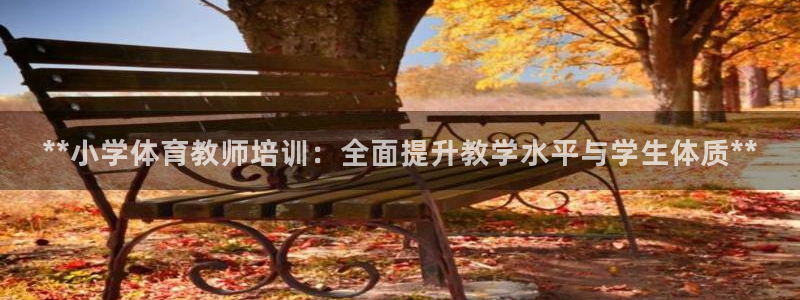 欧陆公司在哪里：**小学体育教师培训：全面提升教学水