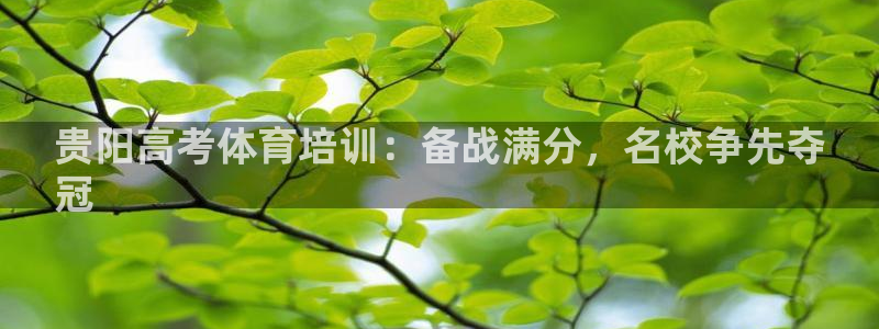 欧陆娱乐游戏：贵阳高考体育培训：备战满分，名校争先夺