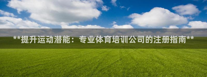 欧陆娱乐公司产品介绍怎么写：**提升运动潜能：专业体