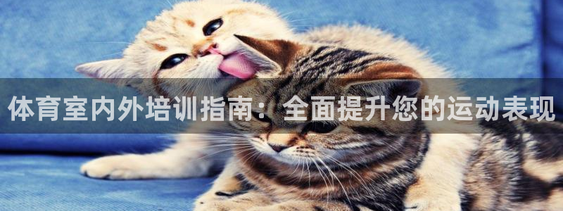 欧陆娱乐注册链接安全吗知乎：体育室内外培训指南：全面